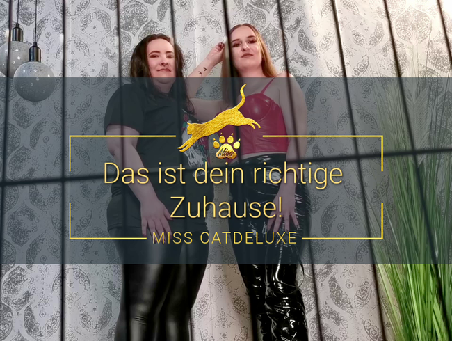 Das ist dein richtiges Zuhause!